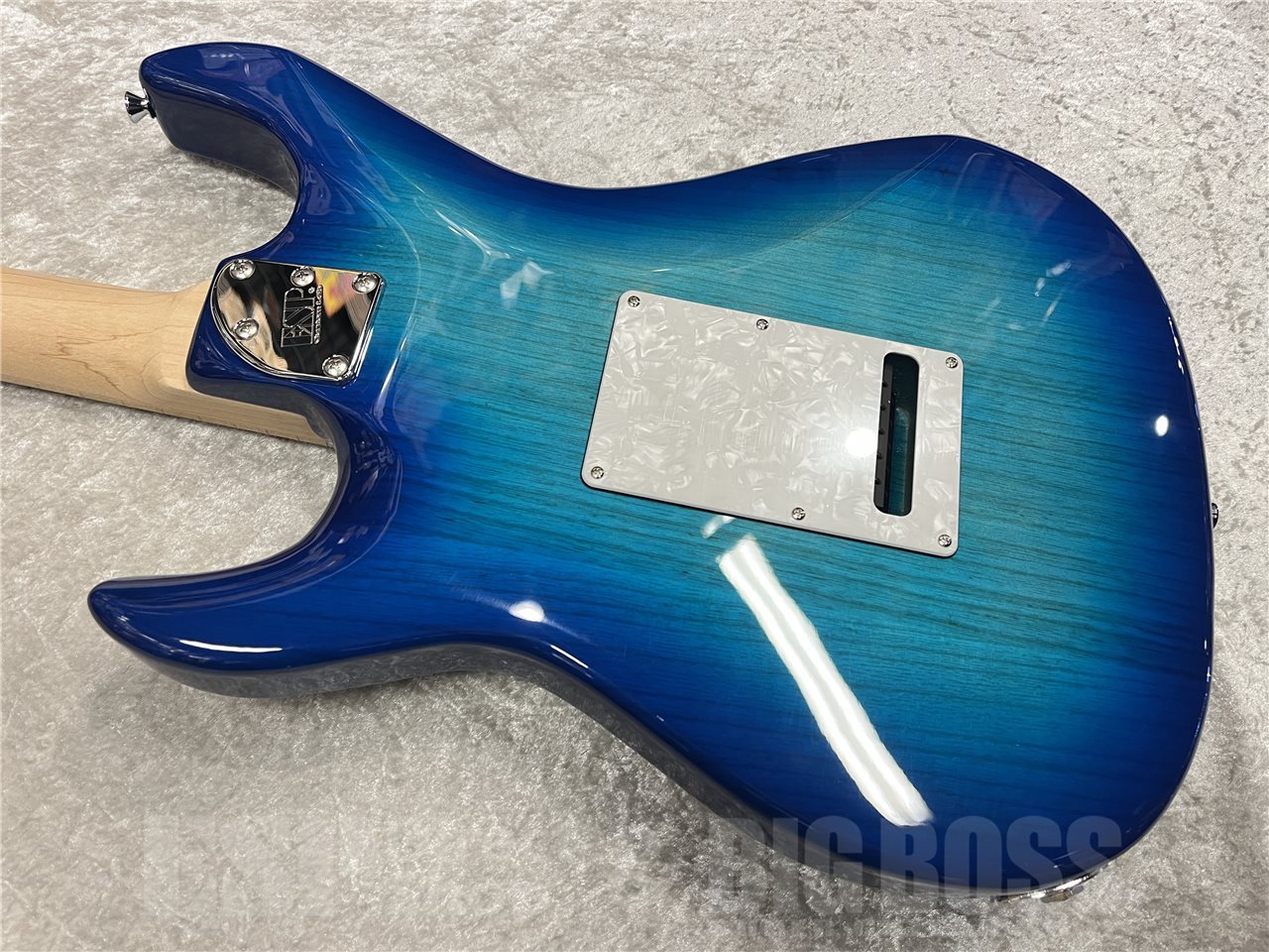 EDWARDS E-SNAPPER-AS/M【See Thru Blue Sunburst】（新品/送料無料
