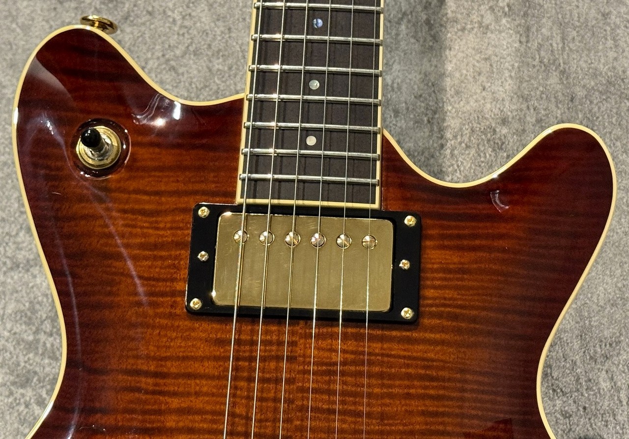 T's Guitars Arc-STD 22 Brown Burst【3.53kg】【担当選定の極杢5A