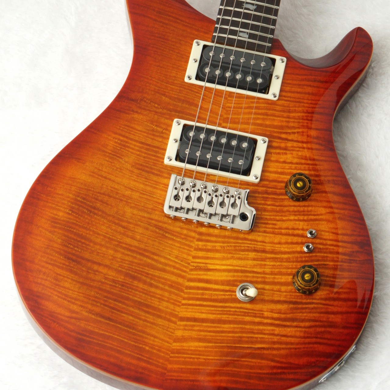 美品　Paul Reed Smith PRS SE Custom 24 Amazon | Paul Reed Smith / 2025 SE Custom24 Semi-Hollow Piezo