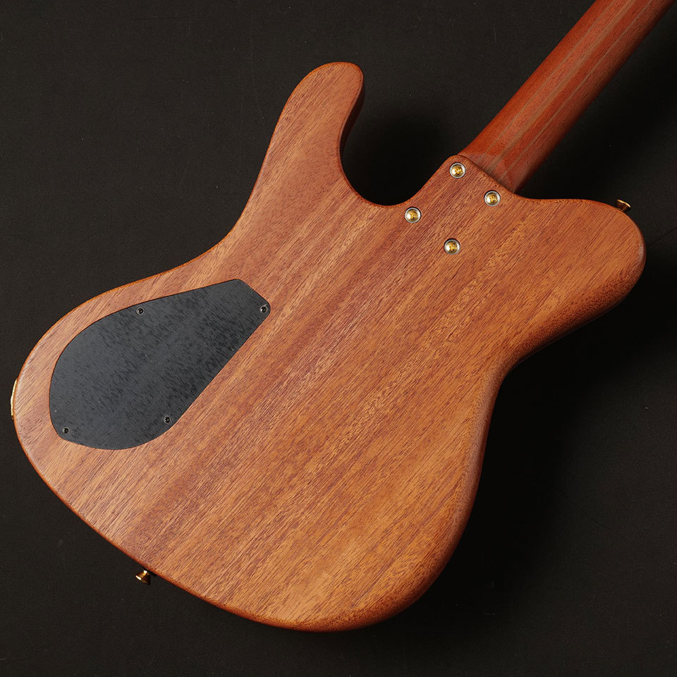 dragonfly Border Custom 666 (Brown Amber Half-Matte)（新品）【楽器