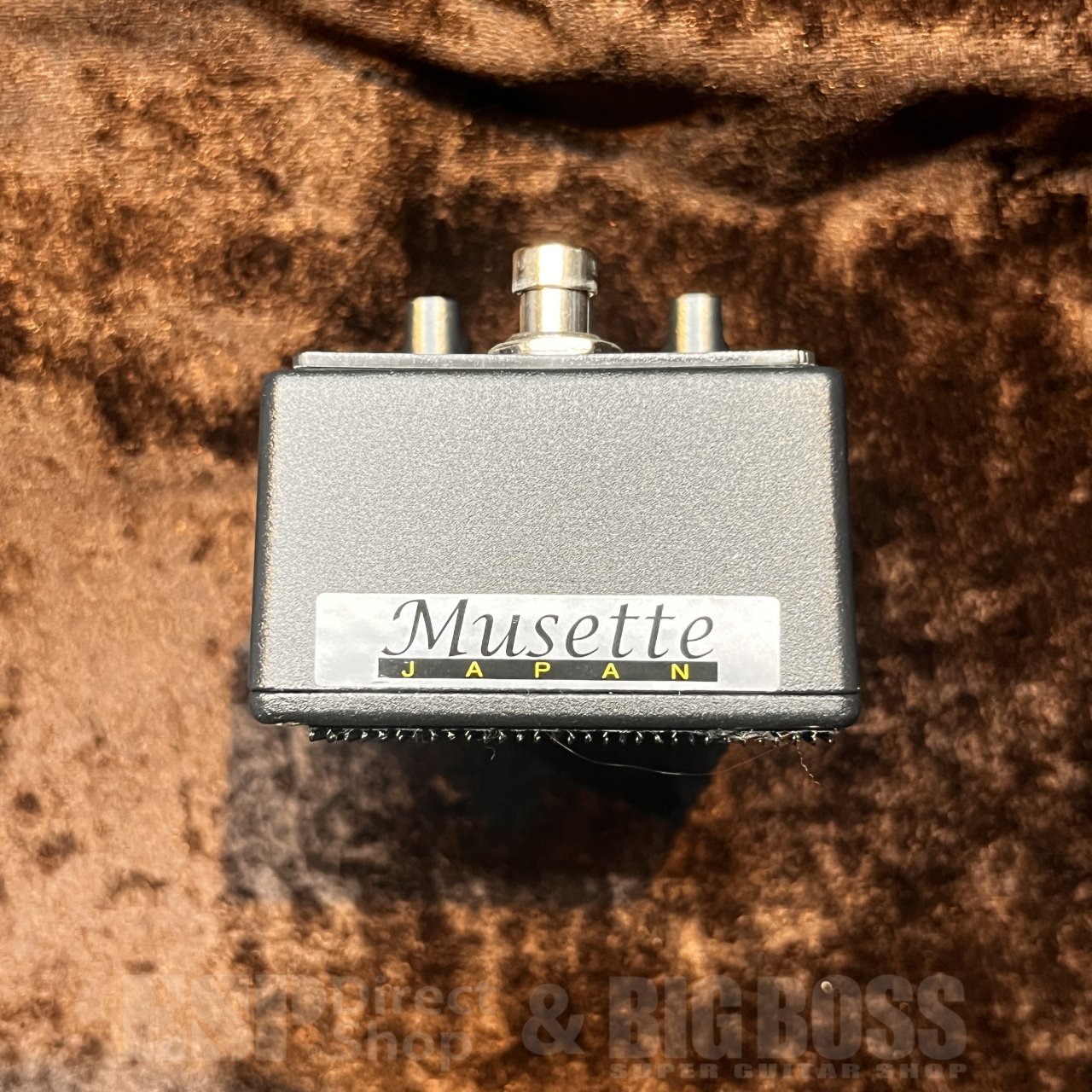 Friedman BE-OD LIMITED BLACKOUT(中古)【楽器検索デジマート】 Friedman BE-OD LIMITED BLACKOUT(中古)【楽器検索デジマート】
