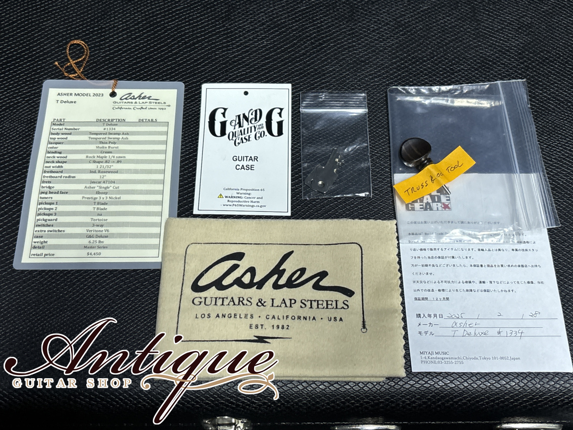 Asher Guitars Master Series T Deluxe Violin Burst /T-Swamp
