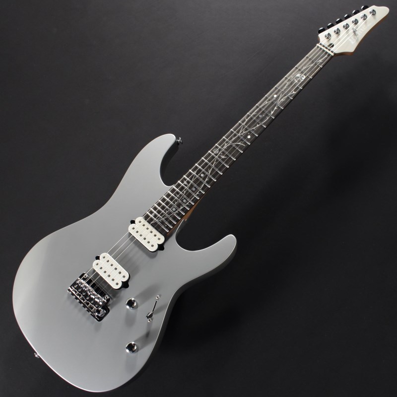 シールドとバッグ付きTOD10 Ibanez TOD10 [Tim Henson Model]（新品）【楽器検索デジマート】
