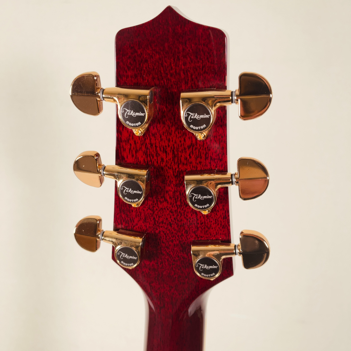 Takamine 【New】DMP551C WR【エレアコ】【日本製】（新品/送料無料