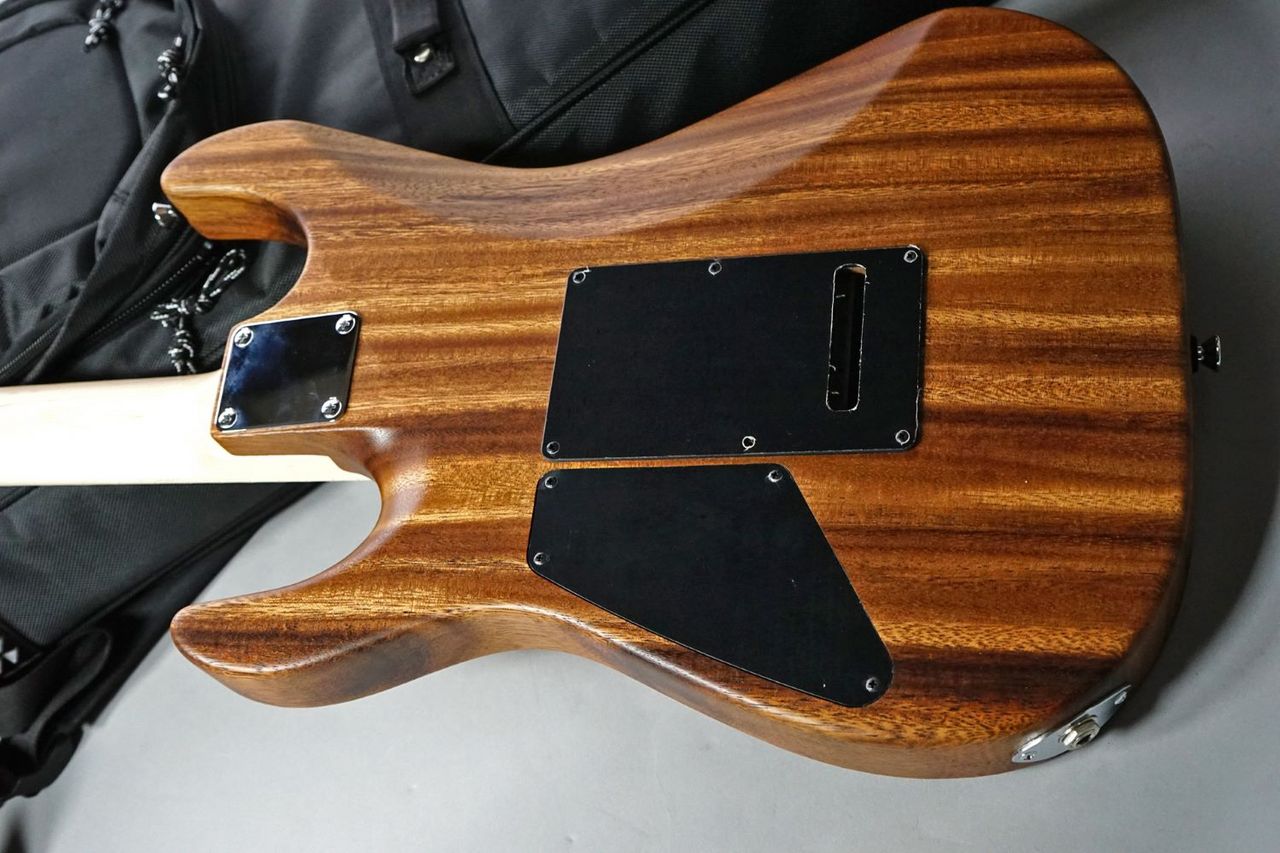 dragonfly CL-HST DM SSH Monkey Pod/Maple【限定モデル】（新品/送料