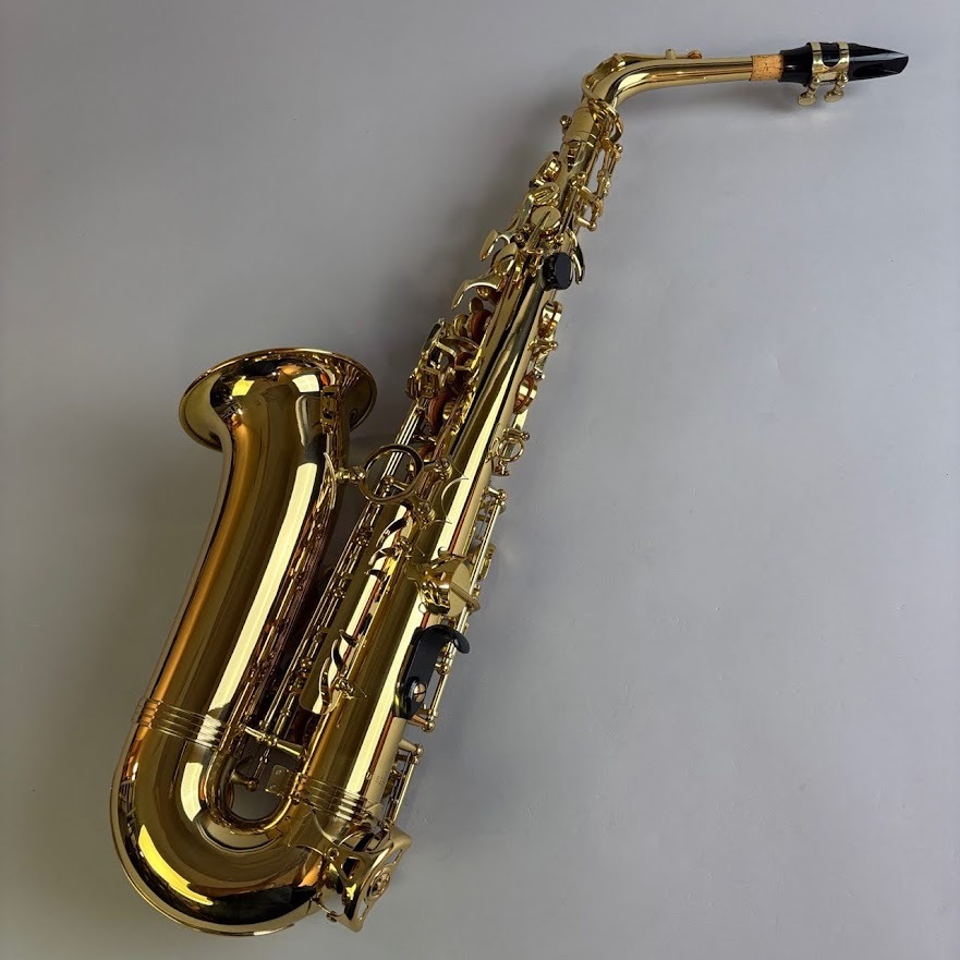 TREVOR J.JAMES Revolution（中古/送料無料）【楽器検索デジマート】