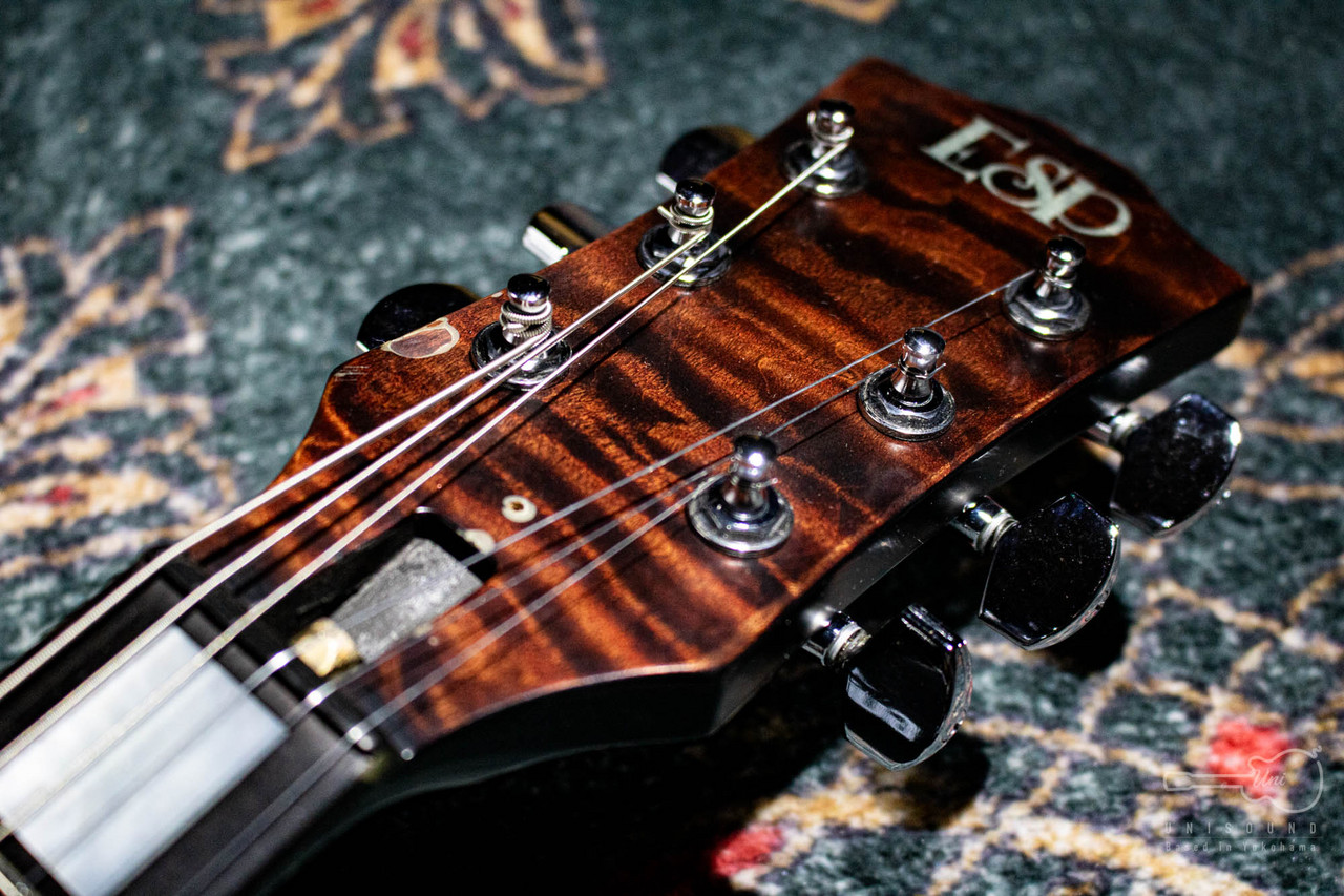 ESP ILP-00 DRAGON Marrone 2001 (LUNA SEA INORAN Signature