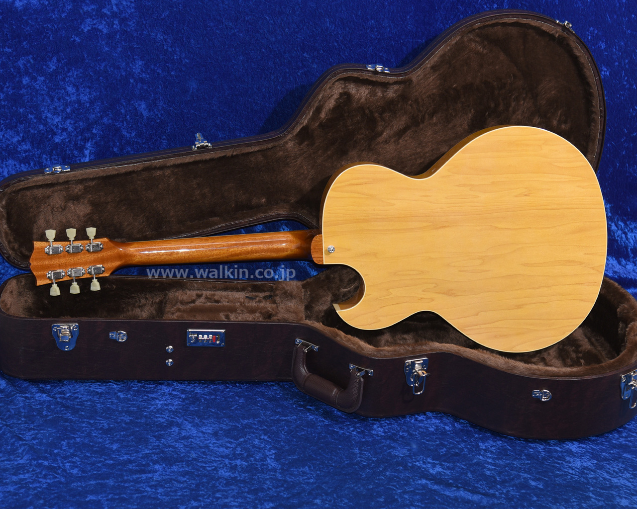Archtop Tribute AT105（新品）【楽器検索デジマート】