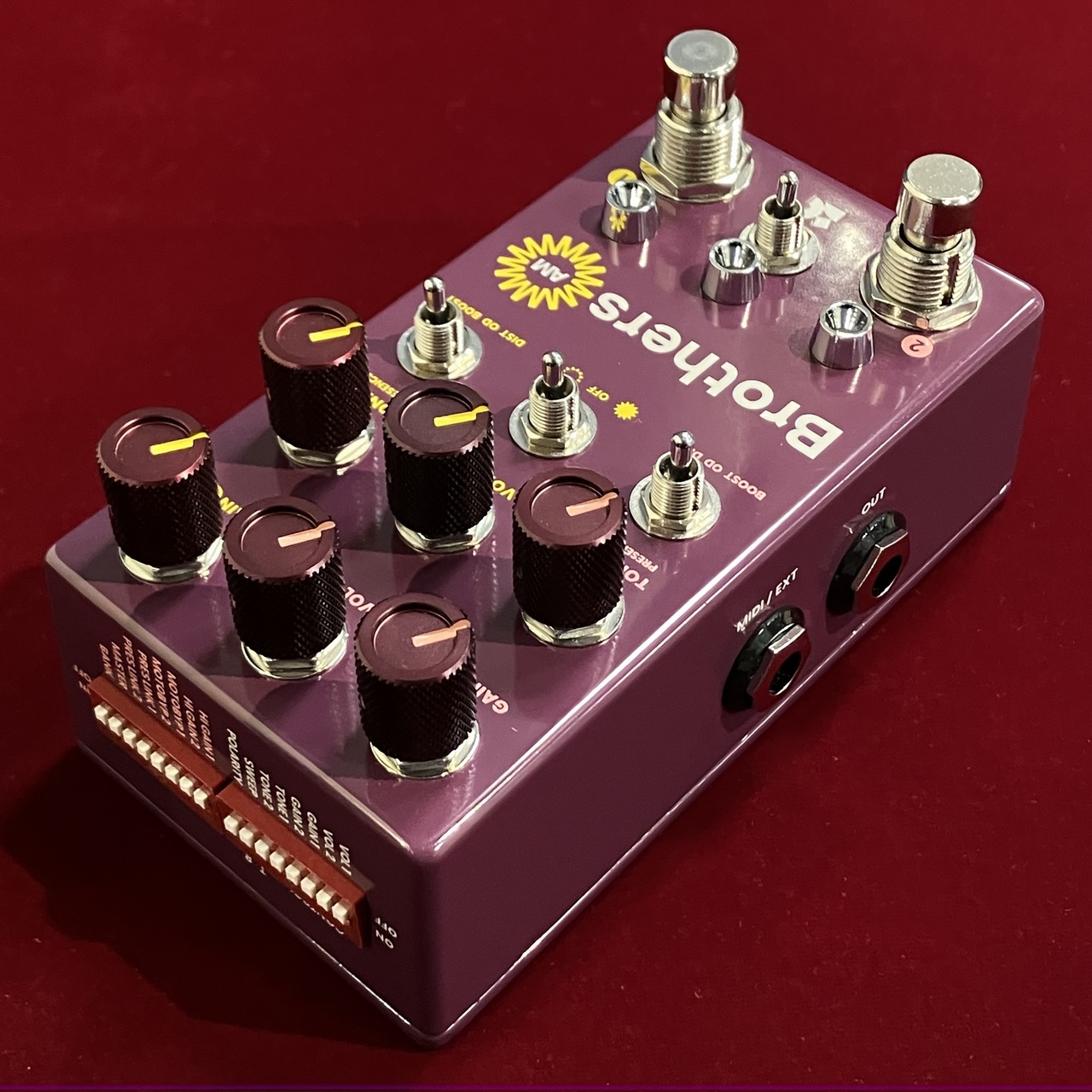 Chase Bliss Audio Brothers AM 【Analog Man × Chase Blissの奇跡的な