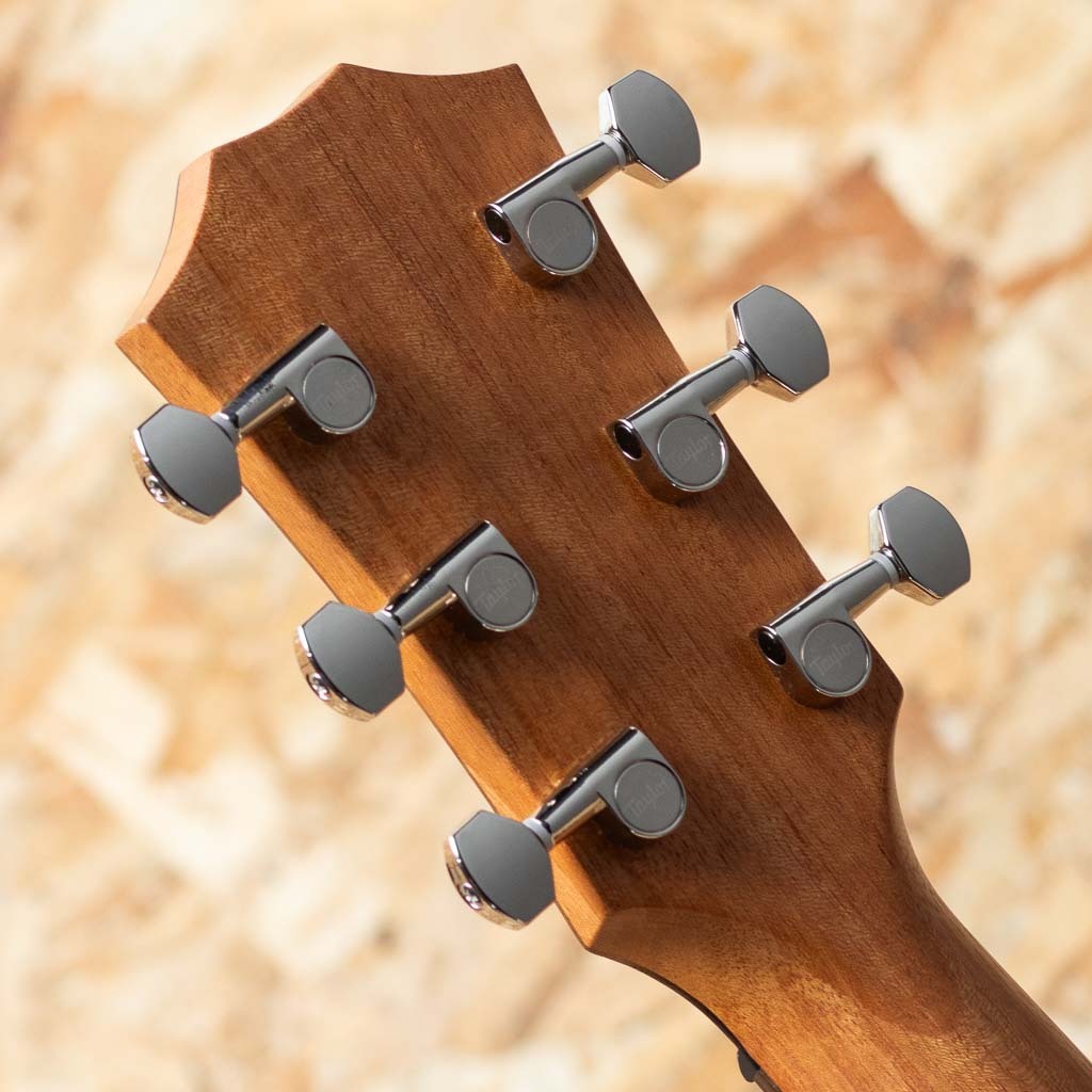 Taylor GT Urban Ash（新品特価）【楽器検索デジマート】