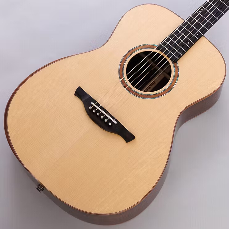 HISTORY NT-S3/Performance NT-S3/Perf エレアコ オール単板 ローズ