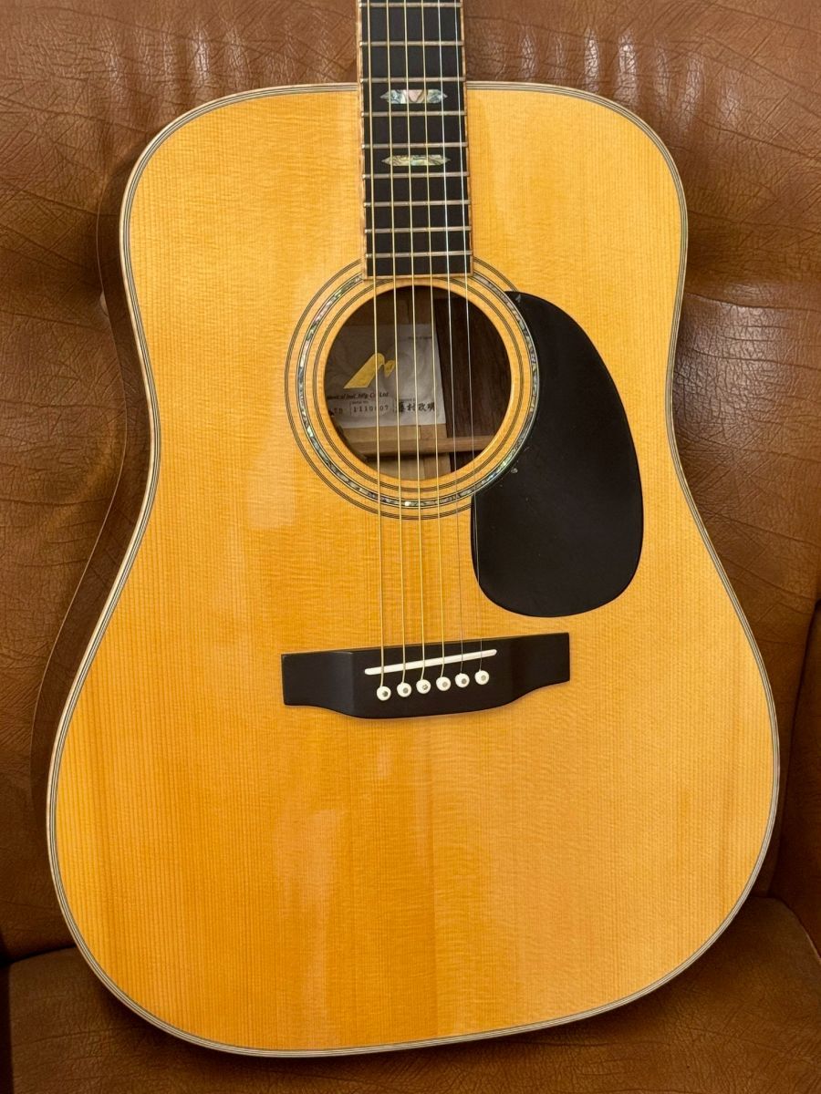 Morris TF-LTD with L.R.Baggs Lyric（新品）【楽器検索デジマート】