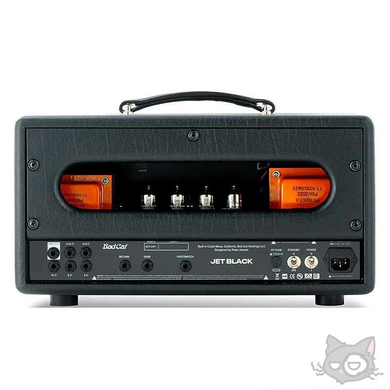 Bad Cat JET BLACK Compact Head（バッドキャット））【スペシャル