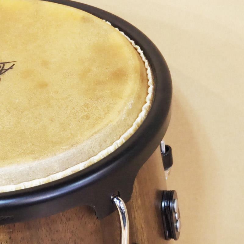 LP USED 中古 Aspire Series 11'' Conga（中古）【楽器検索デジマート】