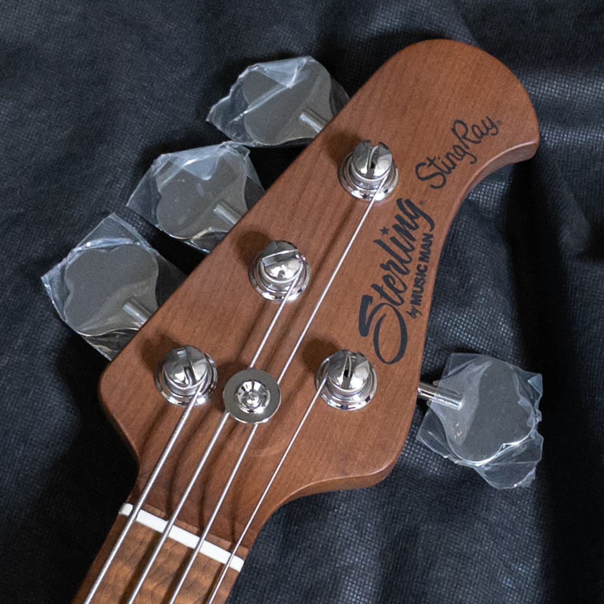 Sterling by MUSIC MAN SBMM RAY34-ASH-M2 LTD 【日本限定発売モデル