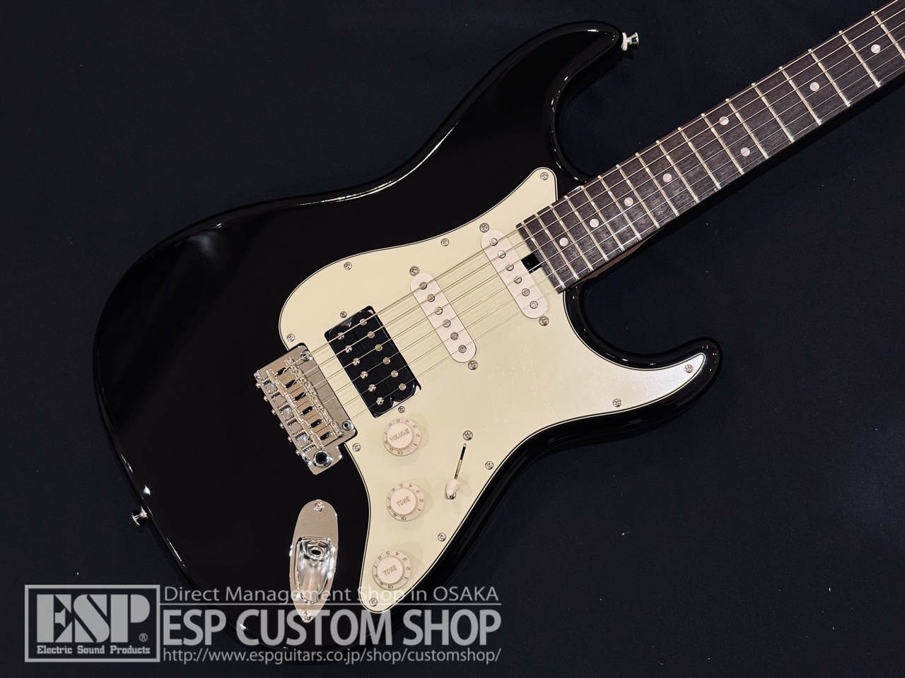 SAITO GUITARS S-622CS Heritage Black / Mint Green（新品/送料