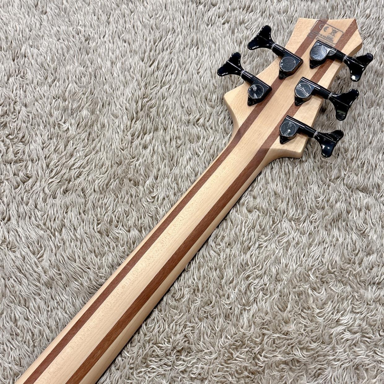 Sire Marcus Miller M5 Ash 5st / TBL (Transparent Blue)（新品/送料
