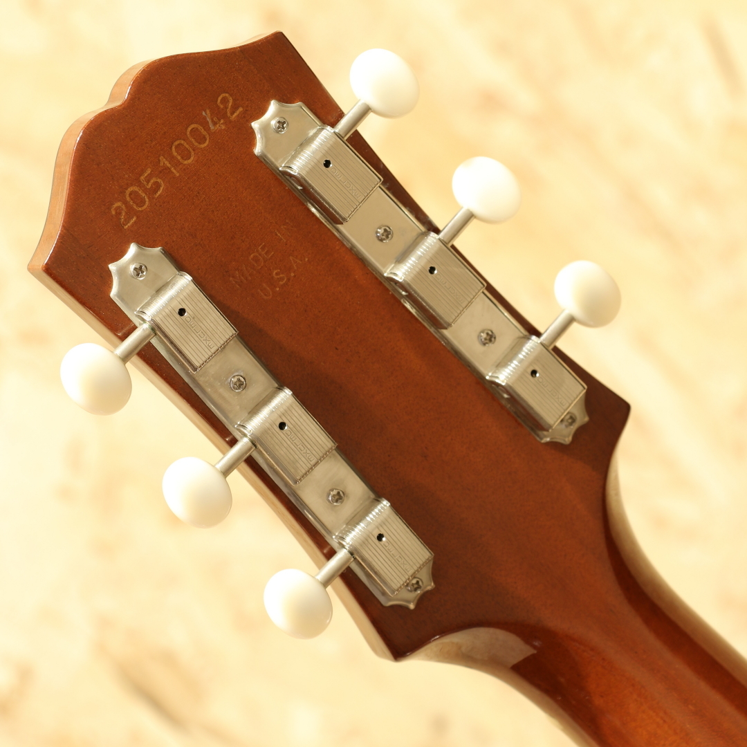 エピフォン、テキサン F T79、鍵付きギクバック、ピックアップ付き、稼働品 エピフォン、テキサン F T79、鍵付きギクバック、ピックアップ付き