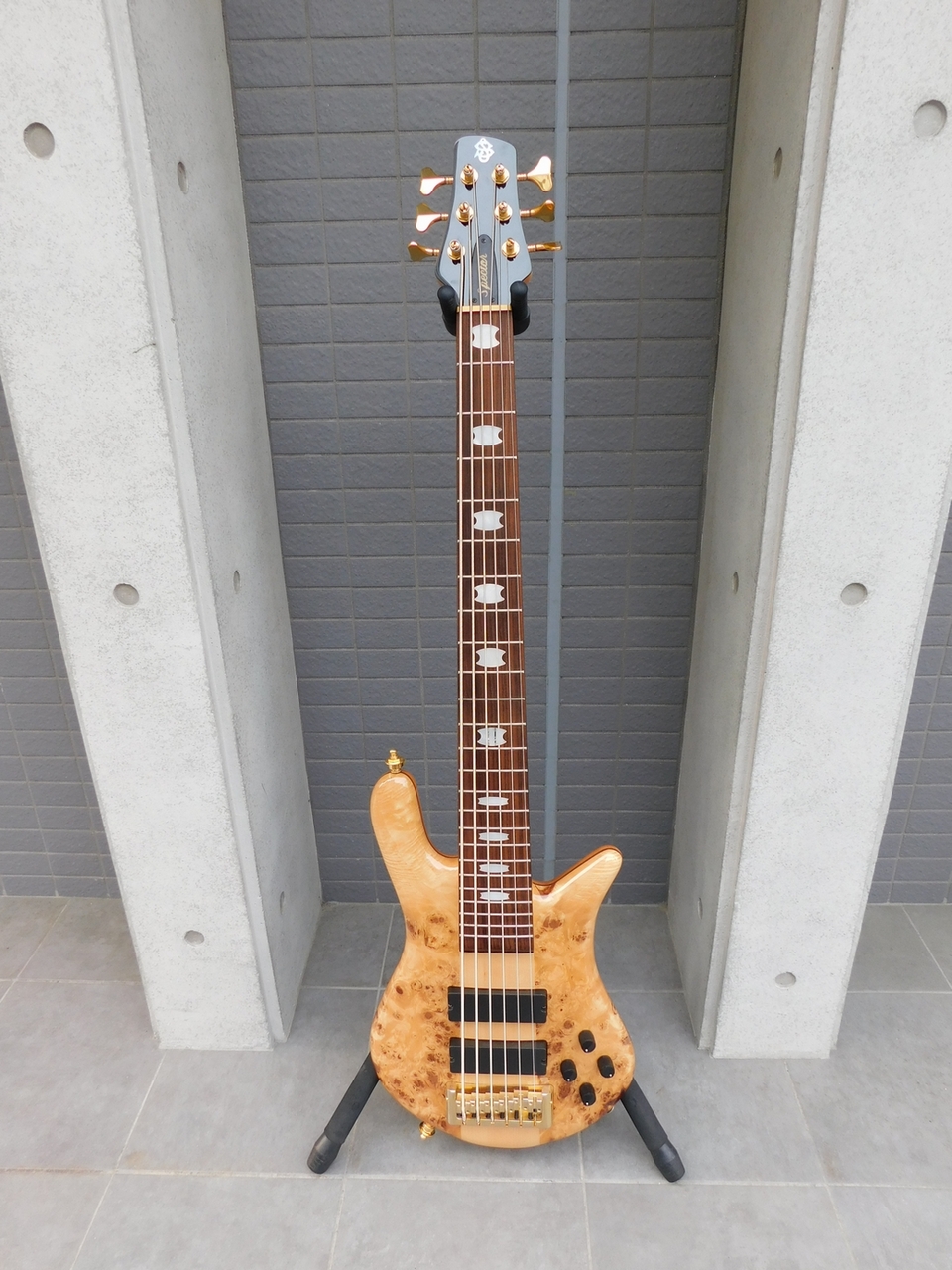 Spector EURO 6 LX Poplar Burl Top 6弦 アクティブベース（中古