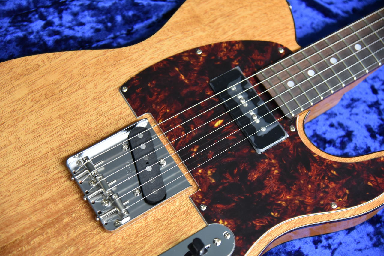 Tokai ATE103S N/R（新品）【楽器検索デジマート】