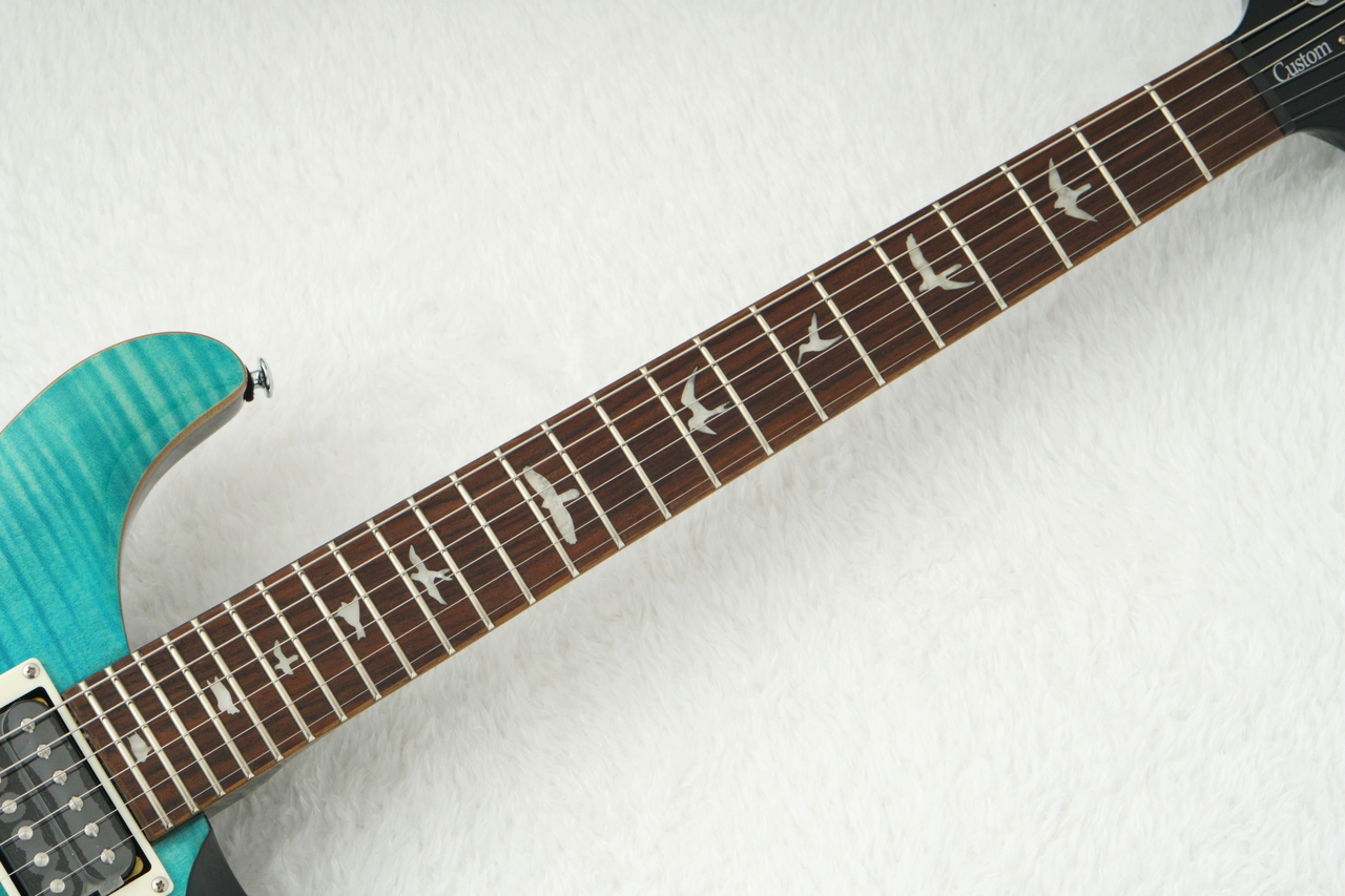 PRS(Paul Reed Smith) se custom24 (付属品多数) PRS Paul Reed Smith SE Custom 24-08 Electric Guitar (with Gig Bag