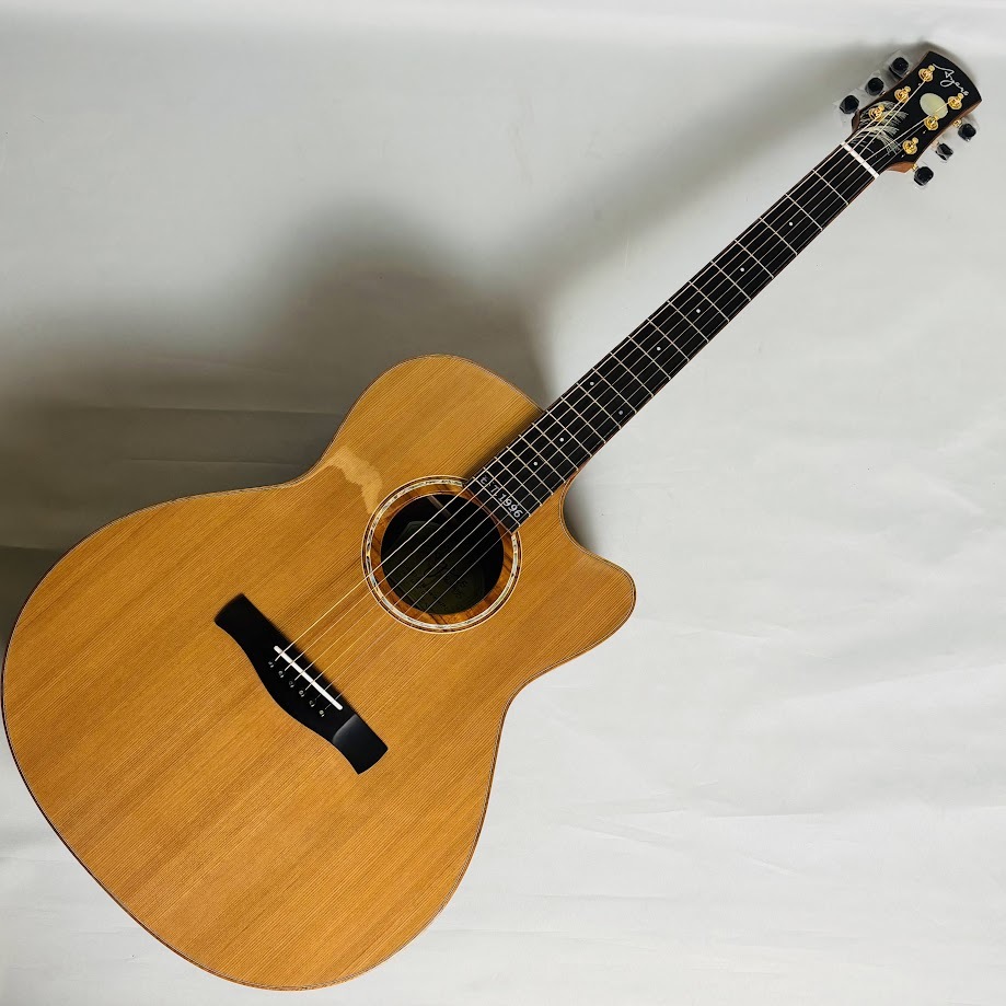 アコースティックギター　ayers ピックアップ付き SJ07-C 1996 DXE 2.0 ENS JP-C | Ayers Japan