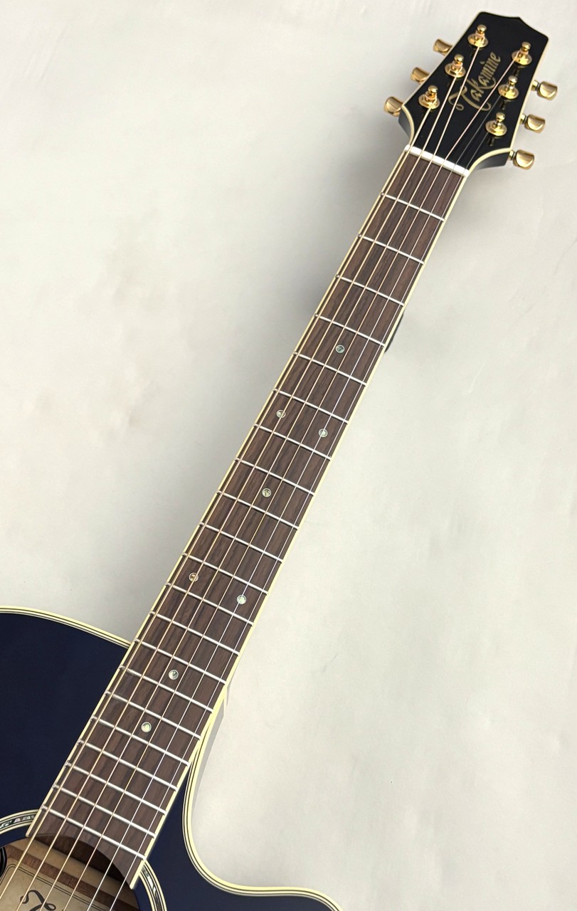 Takamine 【日本製】TSP138C DBS【スポットカラー青】【薄胴