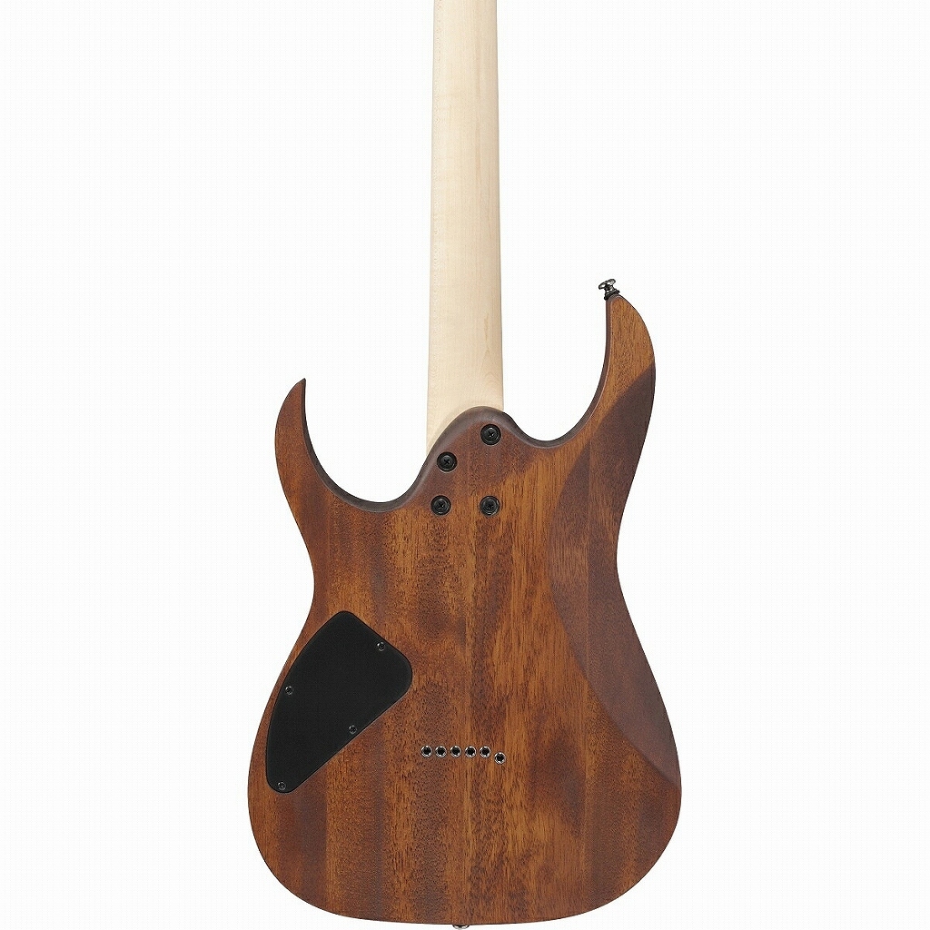 Ibanez RG421-MOL (Mahogany Oil) 【イシバシ楽器限定販売】［弾き