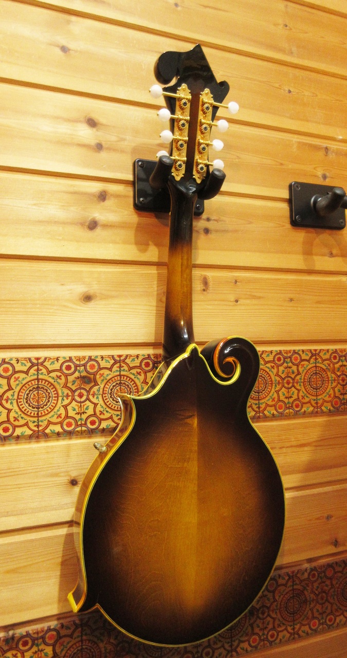 BlueBell F-10 【1980年製】（ビンテージ）【楽器検索デジマート】