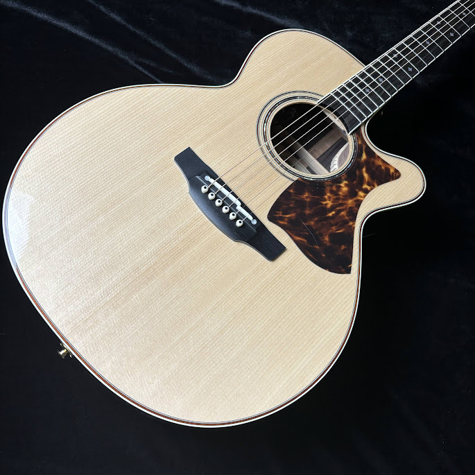 Takamine DMP50S NAT エレアコギター Takamine DMP50S NAT エレアコギター セミハードケース付属