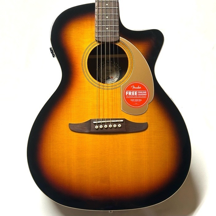 Fender Newporter Player