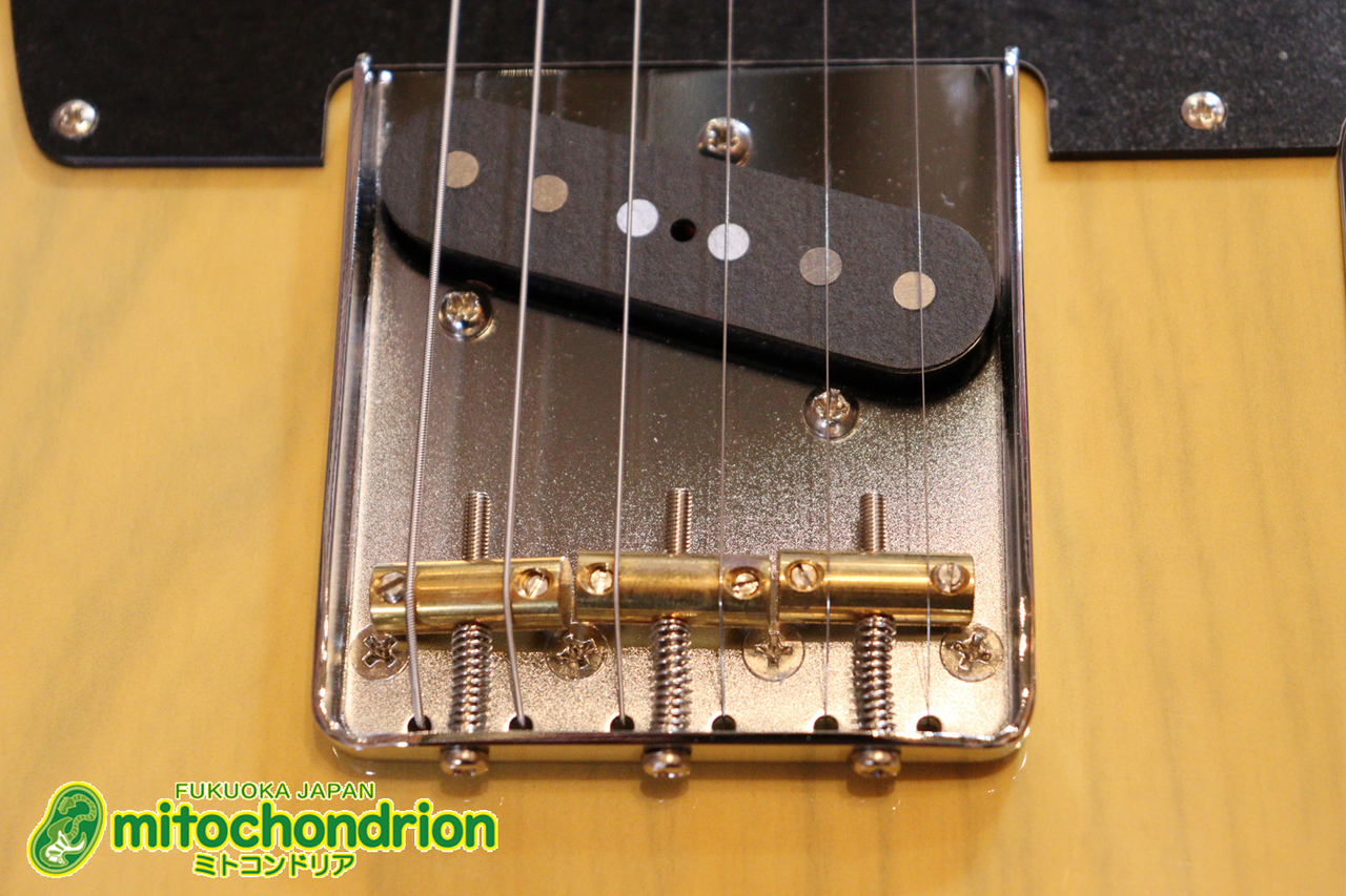 EDWARDS E-TE-ASM / Butter Scotch（新品）【楽器検索デジマート】