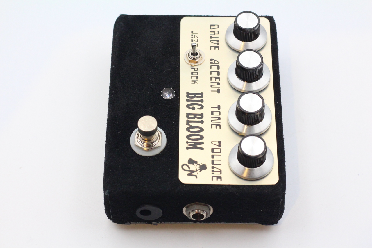 AMPLIFIED NATION BIG BLOOM（中古）【楽器検索デジマート】