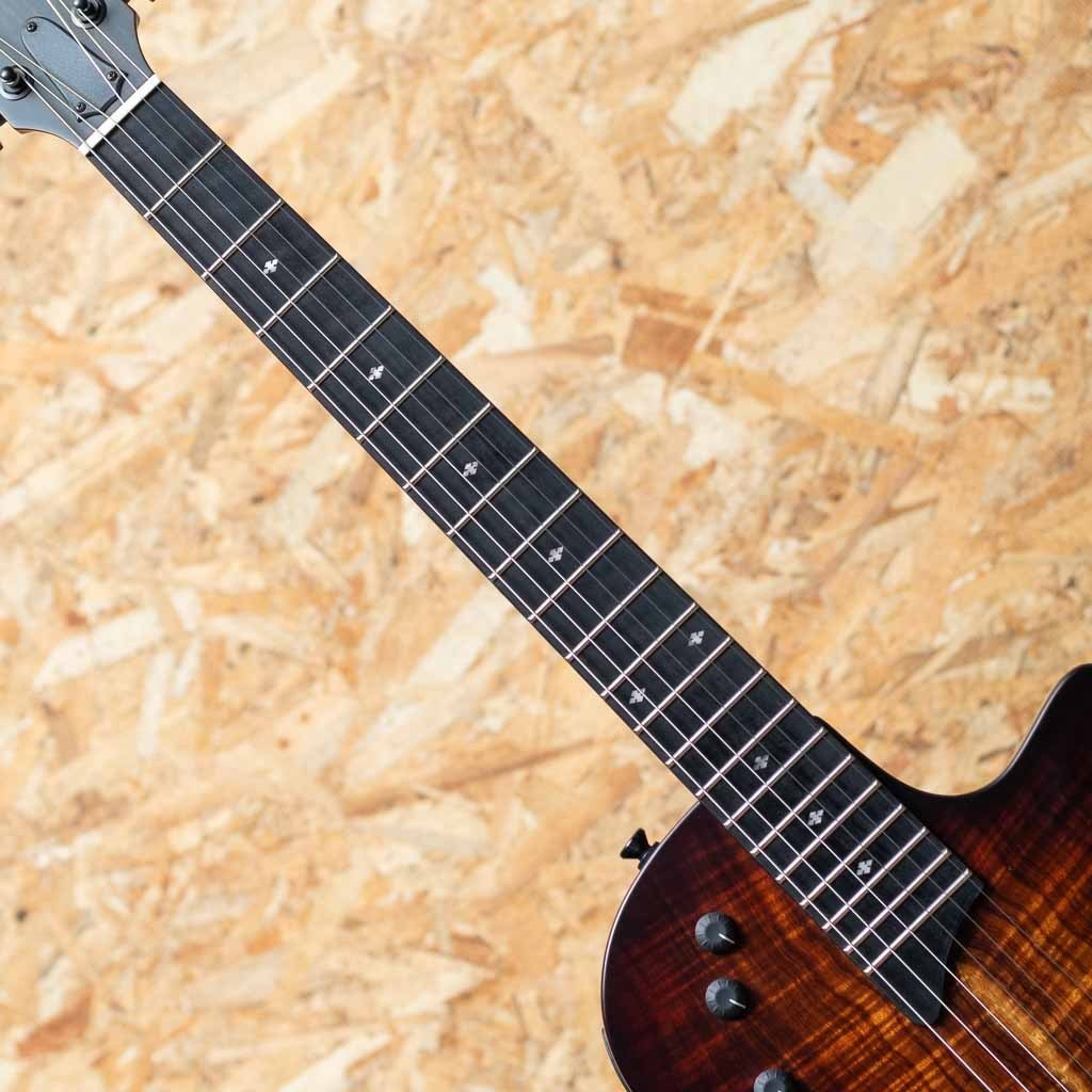 Taylor T5z Classic - Koa Shaded Edgeburst（新品）【楽器検索