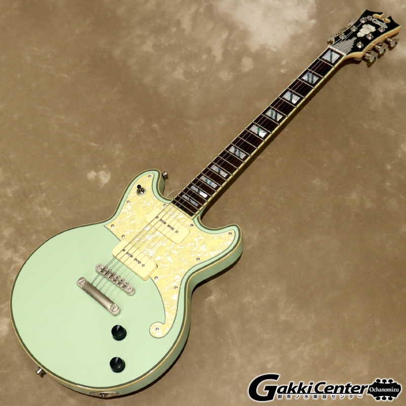 D'Angelico Deluxe Brighton Limited Edition, Sage（新品特価/送料 ...