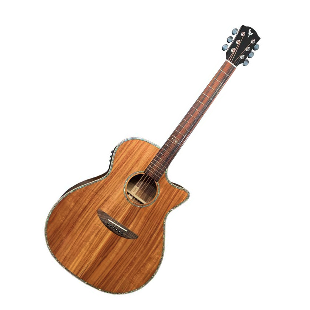 DCT GR-645K CE エレクトリックアコースティックギター（新品/送料無料