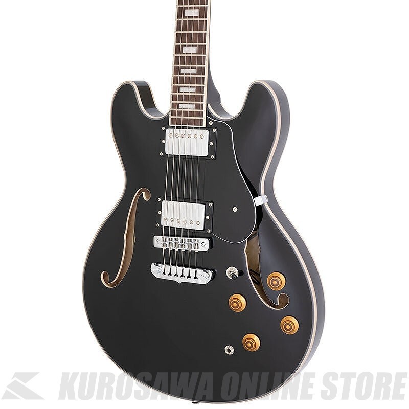 Aria Pro II TA-200 BK TA series セミアコースティックギター