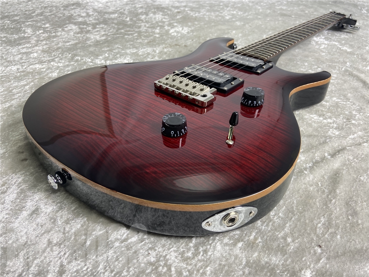 オンラインショッピング PRS SE CUSTOM 24 メンテ済み tessiturasdenos