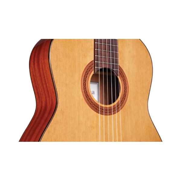 Cordoba クラシックギター C5 CEDAR / Natural（新品/送料無料）【楽器検索デジマート】