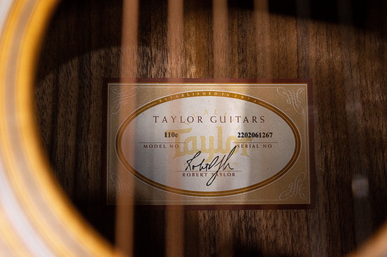 Taylor 110e Walnut（中古/送料無料）【楽器検索デジマート】