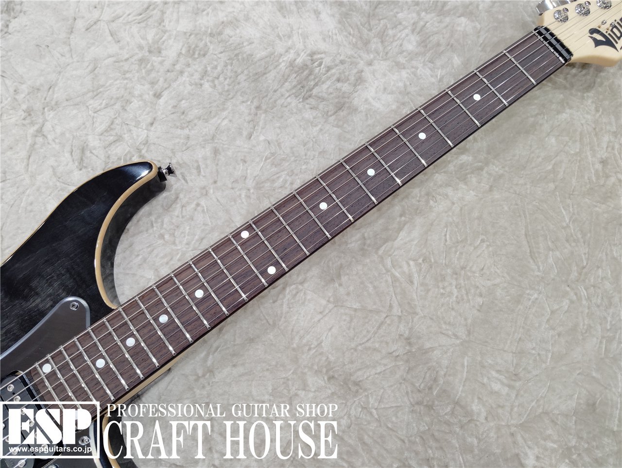 Vigier Guitars Excalibur Custom VE6-CVSP1 / Mysterious Black