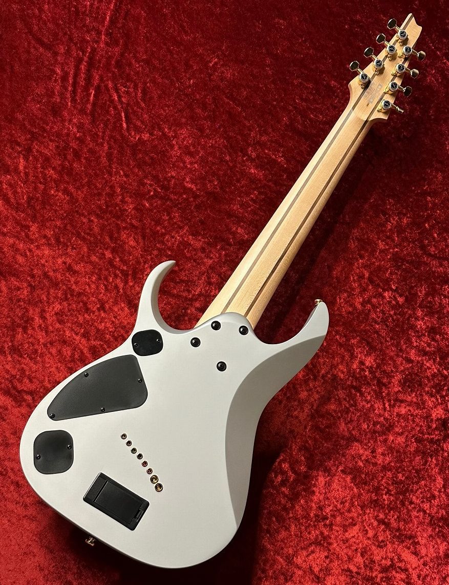Ibanez RGDMS8 8弦エレキギター Ibanez RGDMS8 RGD Axe Design Lab Multi-Scale 8-String