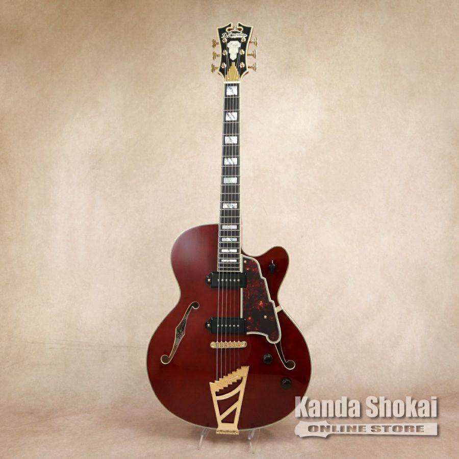 D'Angelico Excel 59 Viola[WEBSHOP在庫]（B級特価/送料無料）【楽器