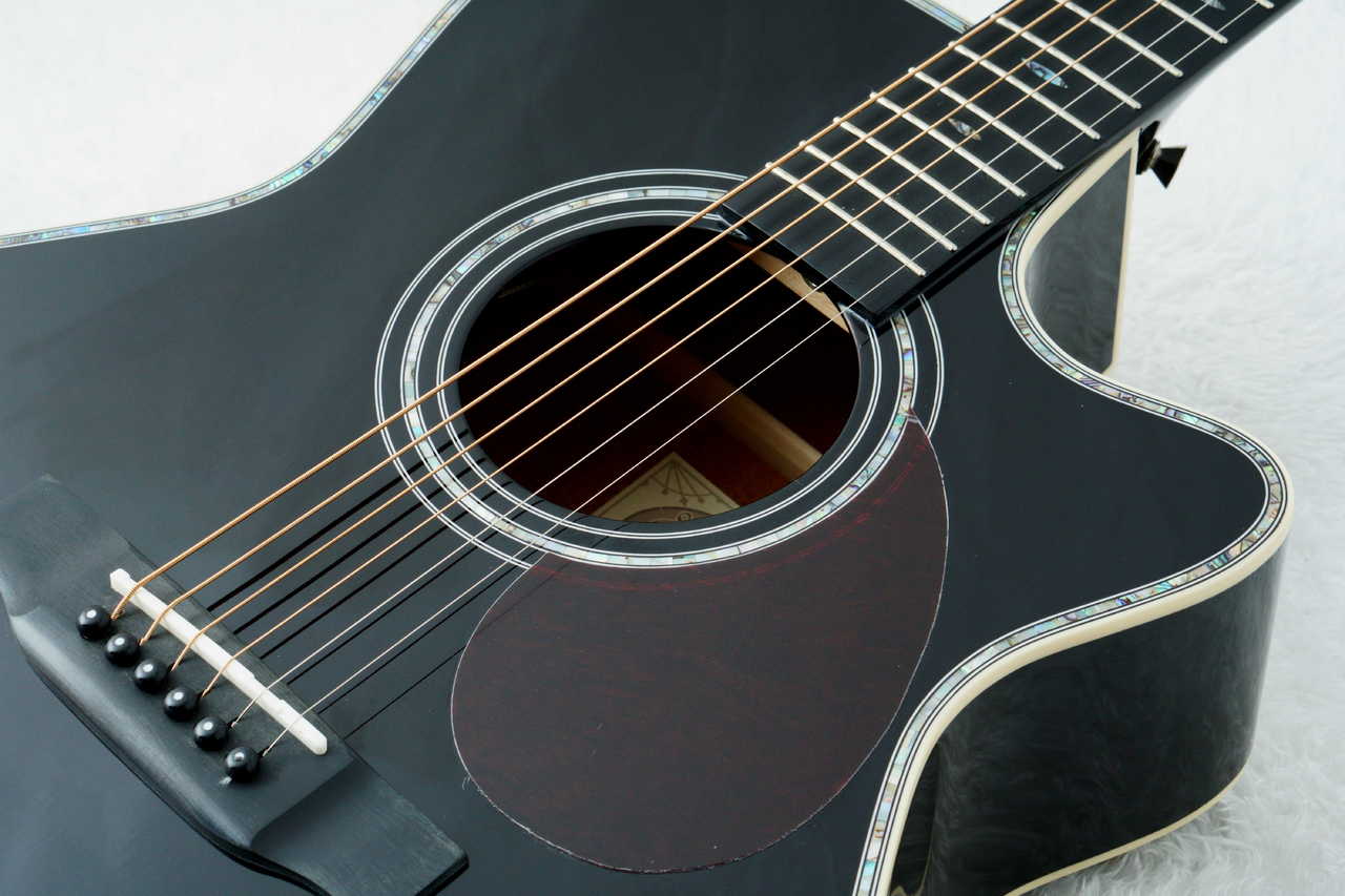 Stafford SF-5C -BLK-【数量限定アクセサリーセット付!】【初心者に