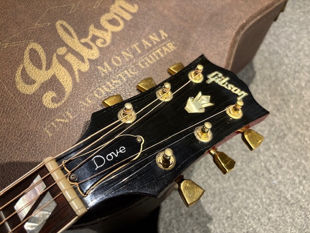 Gibson DOVE 1996年製（中古）【楽器検索デジマート】