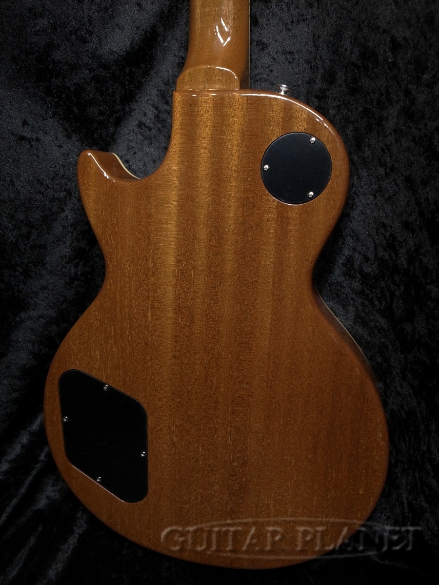 Tokai LS-201S GT（新品）【楽器検索デジマート】