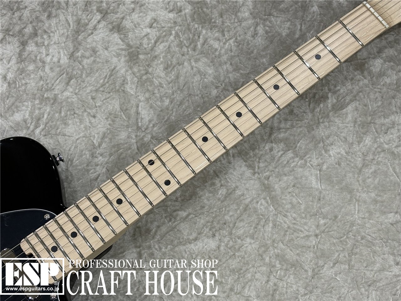 Kaalena KA-TE/M / Black（新品/送料無料）【楽器検索デジマート】