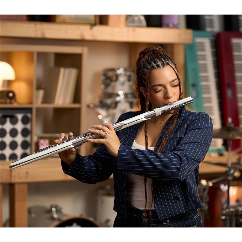 Roland ローランド / Aerophone Brisa デジタル管楽器 AE-BRISA エアロ