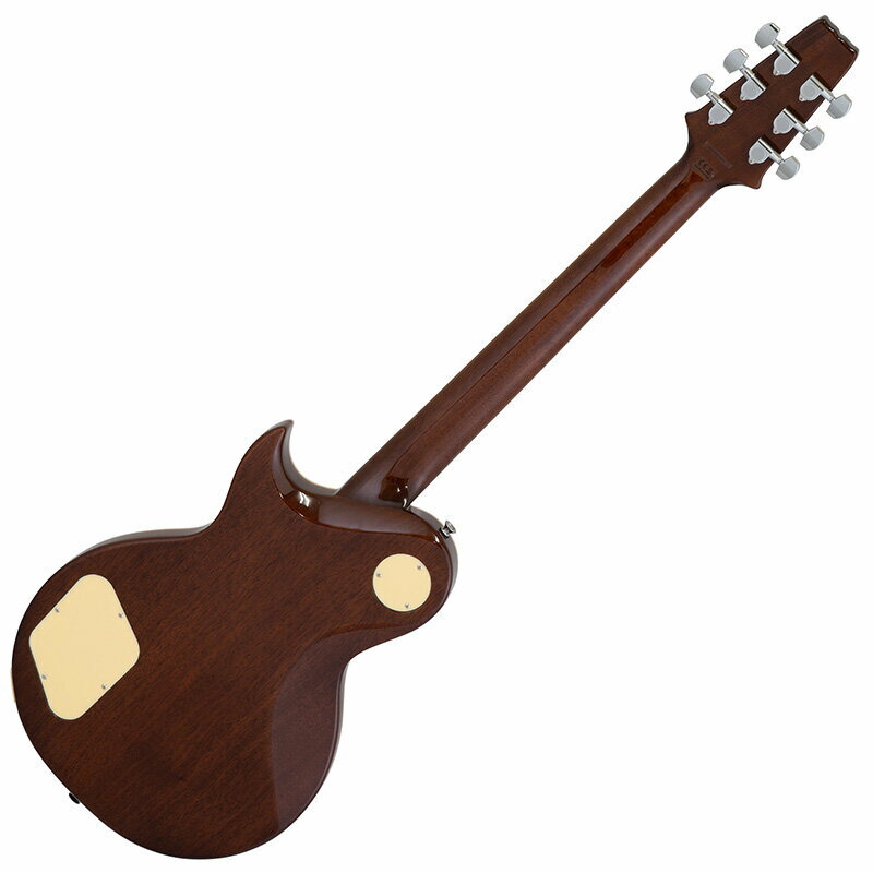 Aria Pro II 【ジェイル大橋シグネイチャー!!】PE-JAIL 2025 -Bloody