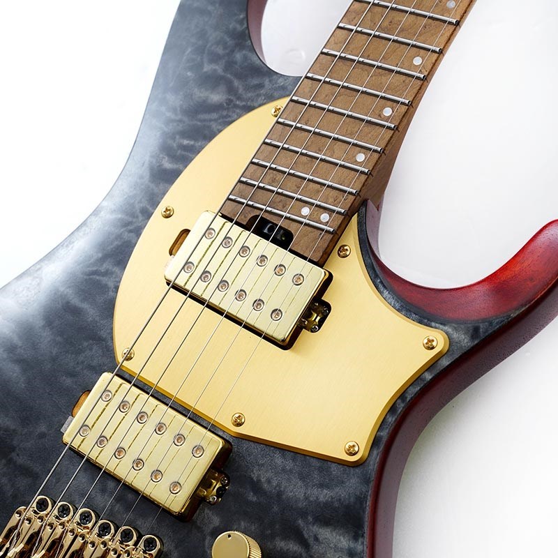 Ibanez MGFM10-OBL (Obsidian Black Low Gloss) [Manuel Gardner